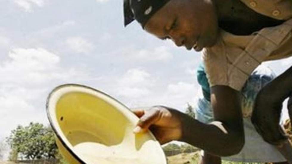 L'eau coupée à Harare, où sévit une épidémie de choléra