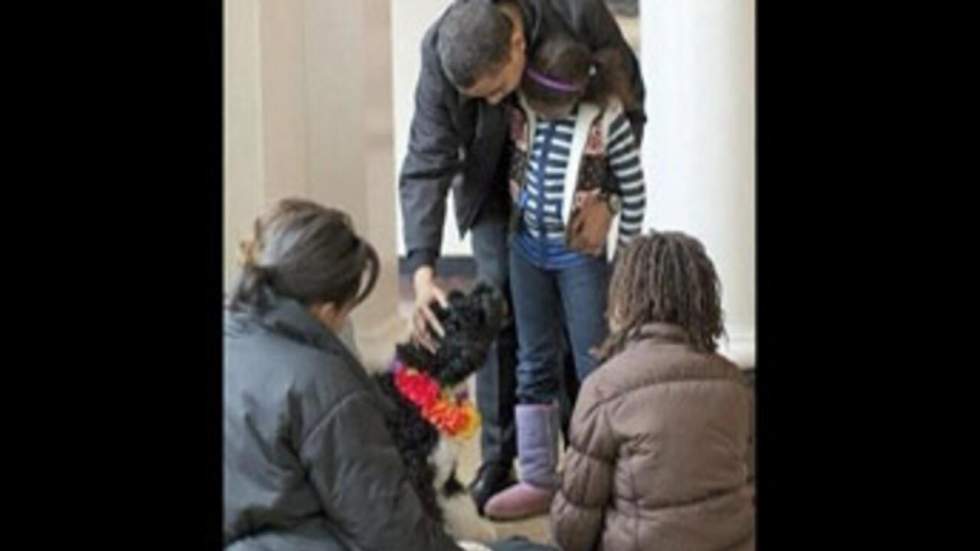 La famille Obama accueille enfin "Bo", son nouveau chien La famille Obama accueille enfin "Bo", son nouveau chien