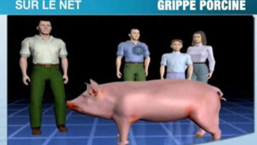 La grippe porcine se propage aux débats en ligne