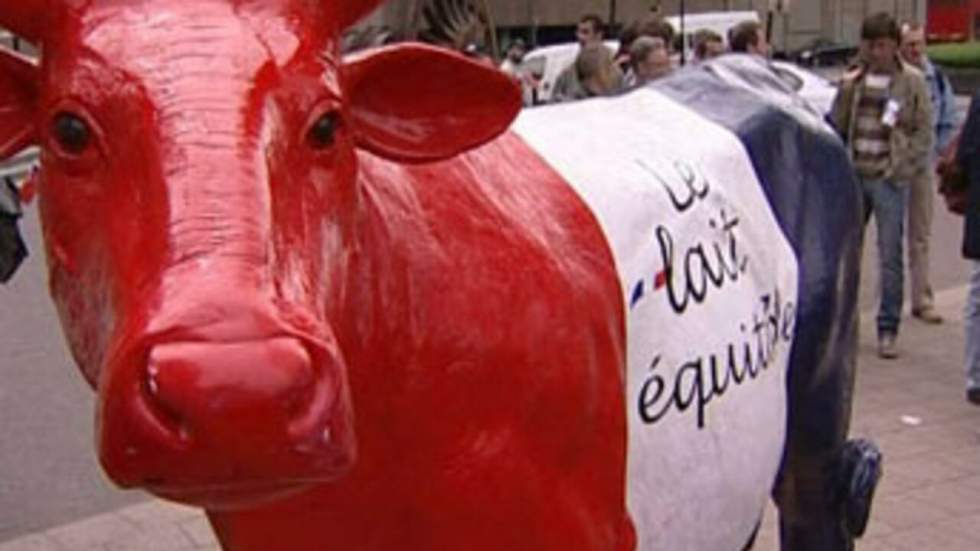 Les producteurs de lait européens manifestent contre la chute des prix