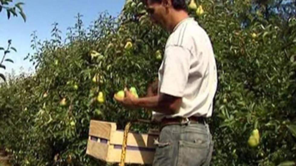 Les producteurs de fruits et légumes reçus par le ministre de l'Agriculture