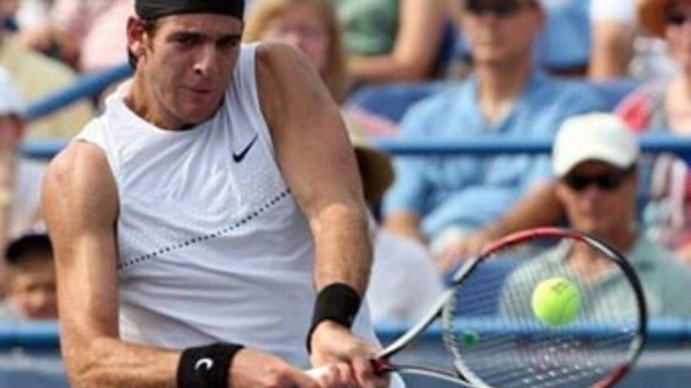 Del Potro remporte son deuxième titre d'affilée à Washington