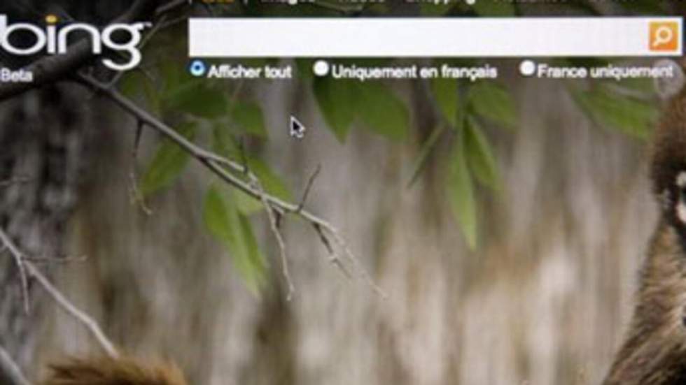 Microsoft teste un moteur de recherche en images