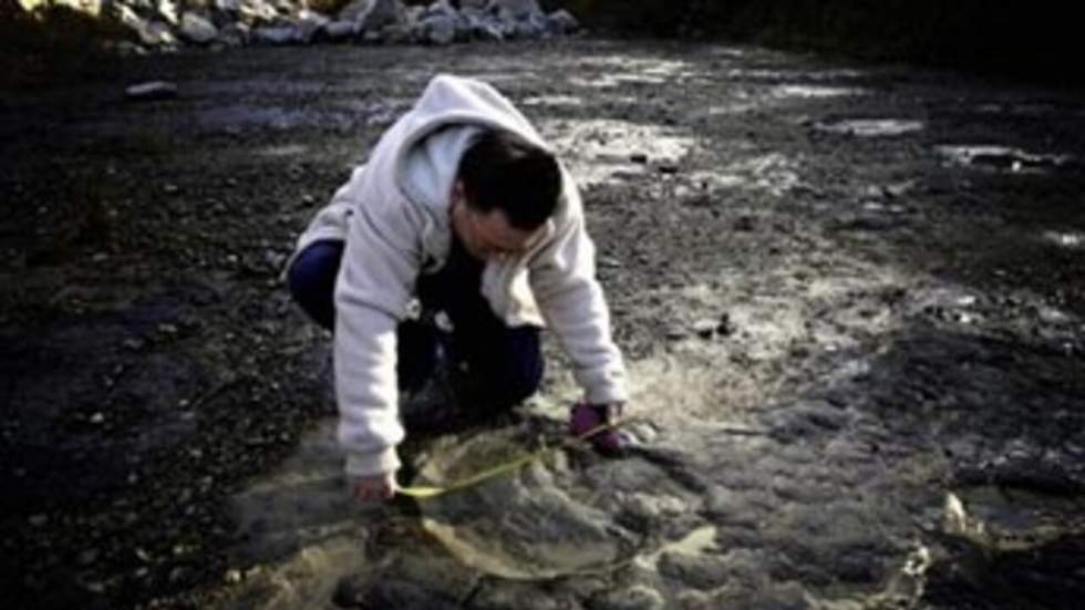 Des empreintes de dinosaures découvertes dans le Jura