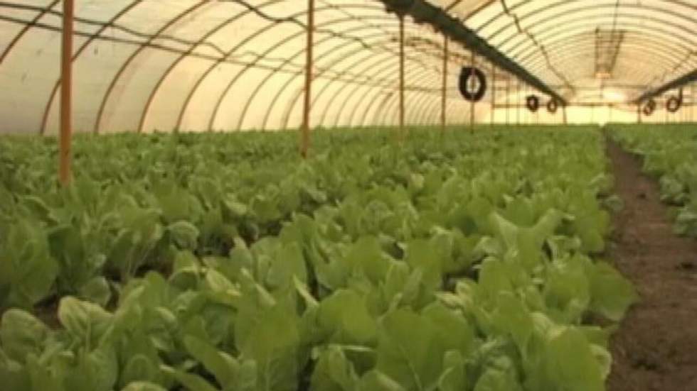 La crise agricole, priorité numéro un de l'Europe La crise agricole, priorité numéro un de l'Europe