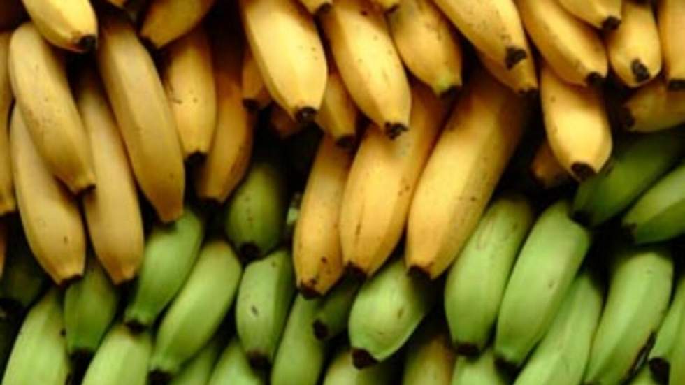 L'Europe et l'Amérique latine mettent fin à la "guerre de la banane"