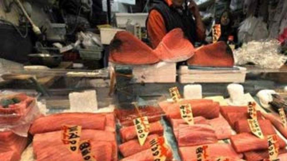 "Le vote contre l'exportation du thon rouge est un terrible échec" "Le vote contre l'exportation du thon rouge est un terrible échec"