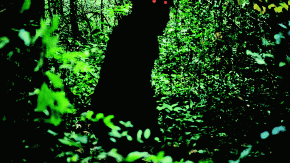 L'"Oncle Boonmee" du Thaïlandais Weerasethakul ensorcelle la Croisette