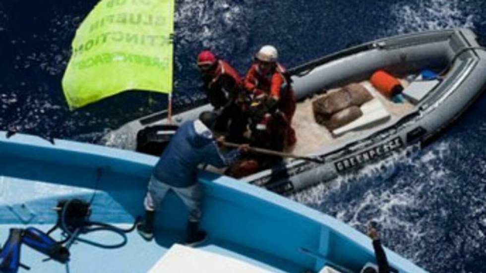 Le militant de Greenpeace harponné par des pêcheurs toujours hospitalisé à Malte