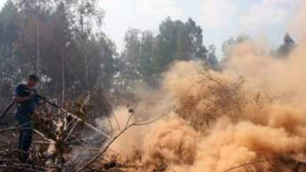 La canicule se poursuit, au moins vingt-neuf morts dans des incendies