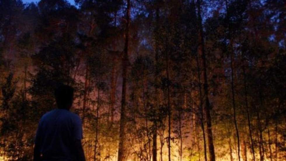 La Russie peine toujours à maîtriser ses feux de forêt