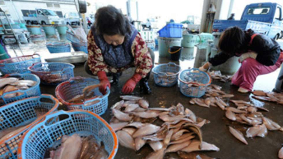 Le gouvernement étend les mesures de précaution aux produits de la mer