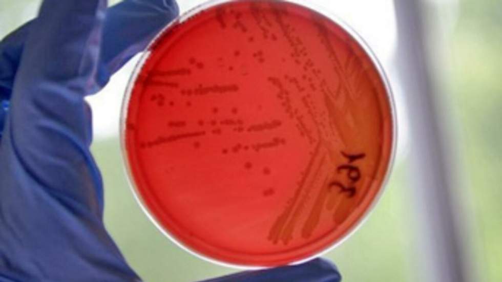 Bactérie tueuse : l'Allemagne maintient l'alerte malgré une régression de l'épidémie Bactérie tueuse : l'Allemagne maintient l'alerte malgré une régression de l'épidémie