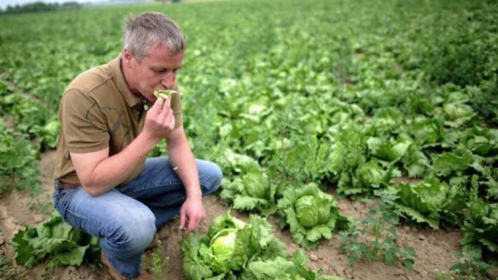 L'Union européenne accroît son aide aux producteurs de légumes