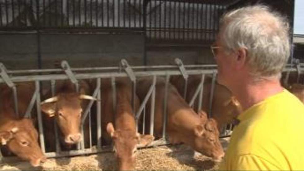 Sécheresse : éleveurs en danger