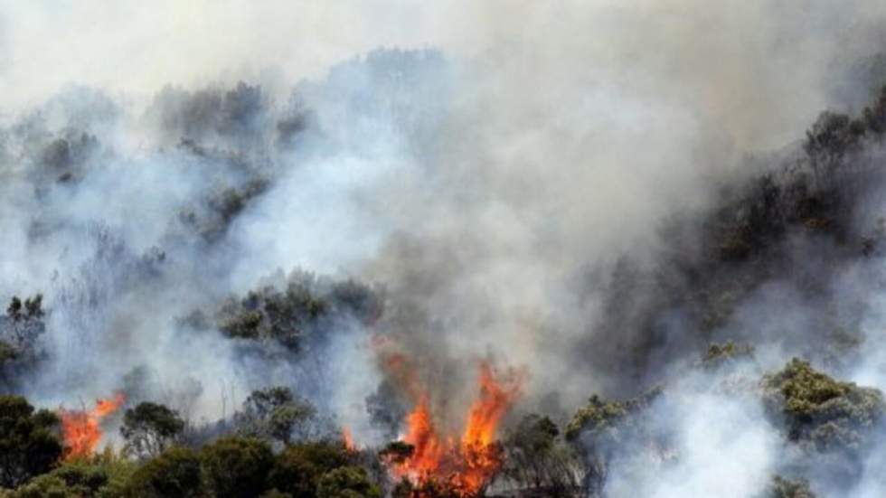 Le Parc national de la Réunion en proie aux flammes