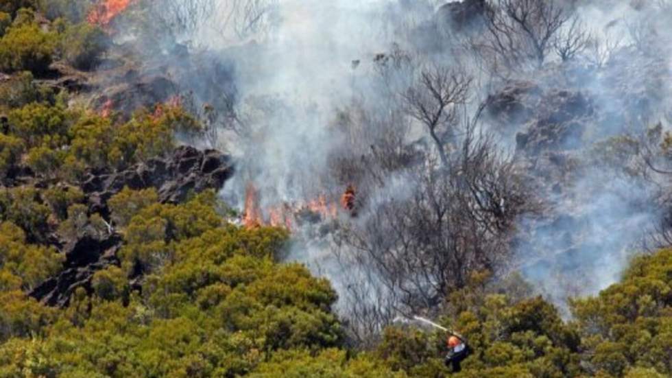 Incendie à la Réunion : la polémique enfle autour des moyens engagés