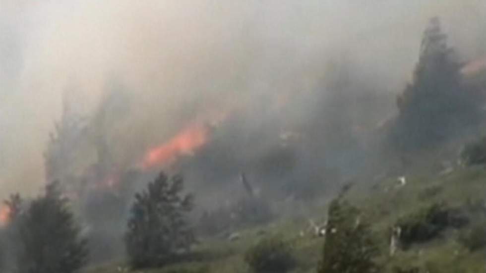 Près de 1 500 hectares de forêt détruits par un incendie dans un parc de Patagonie