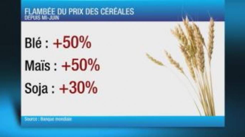 Flambée des prix alimentaires mondiaux