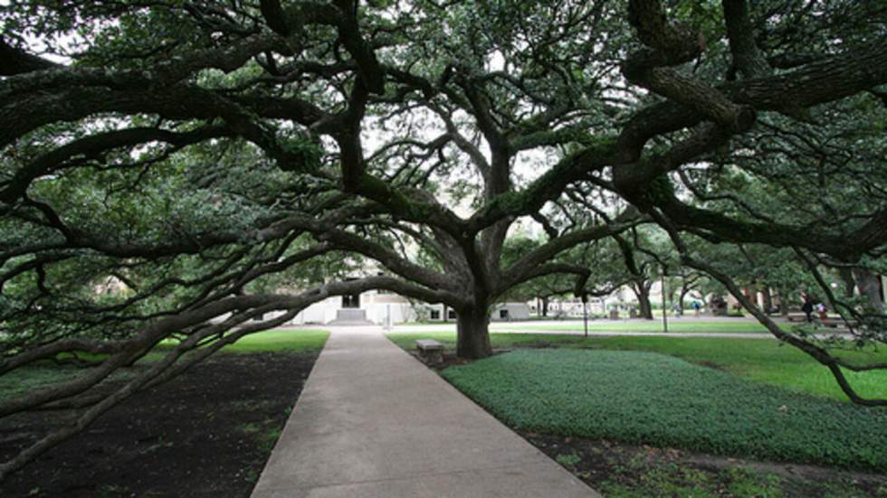 Plusieurs morts dans une fusillade près d'une université au Texas Plusieurs morts dans une fusillade près d'une université au Texas