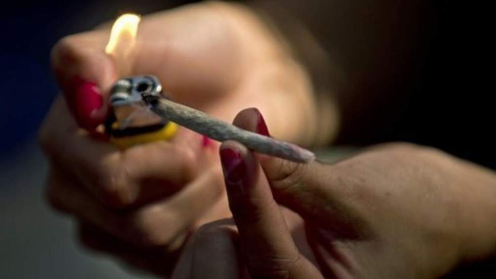 Le cannabis : réel danger pour le QI... mais tout autant que l’alcool Le cannabis : réel danger pour le QI... mais tout autant que l’alcool