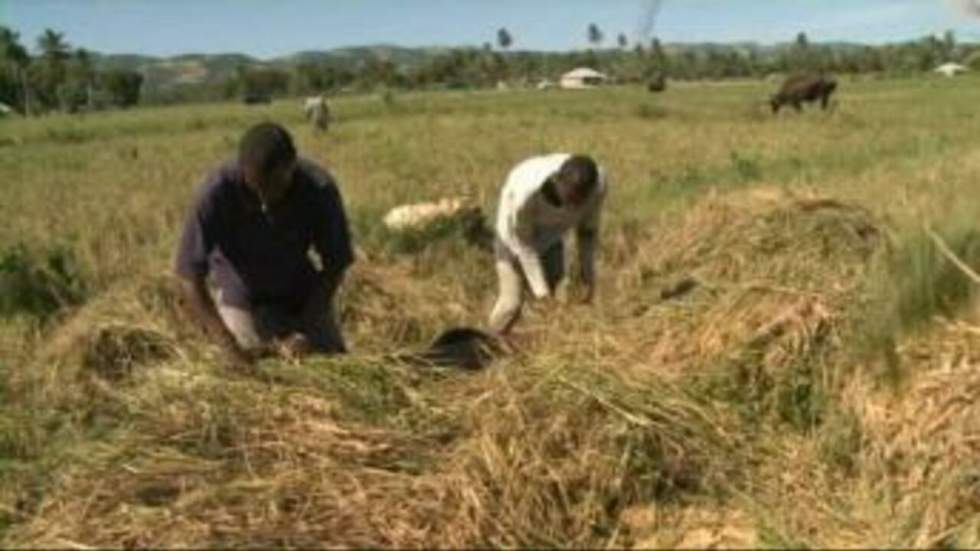 Le spectre de la pénurie alimentaire en Haïti