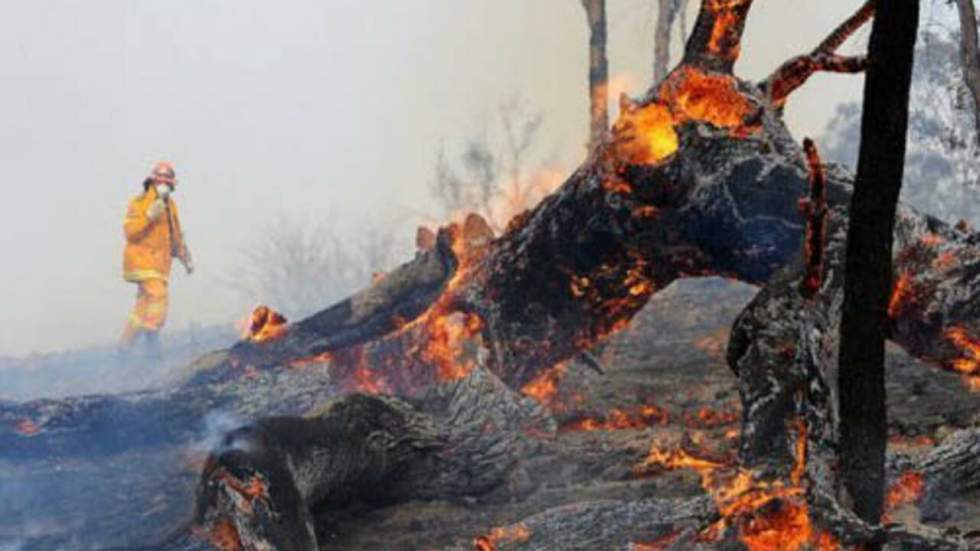 Incendies : journée classée "catastrophique" dans le sud de l'Australie