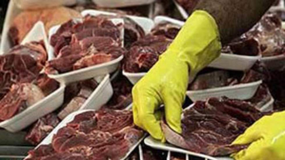 Scandale de la viande de cheval : l'UE demande des tests ADN