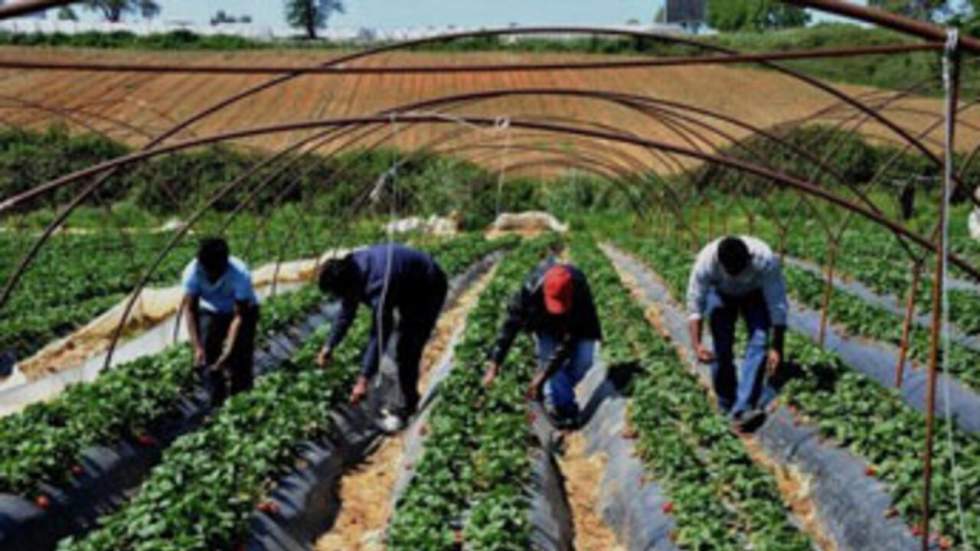 Des immigrés se font tirer dessus pour avoir réclamé leur salaire impayé Des immigrés se font tirer dessus pour avoir réclamé leur salaire impayé