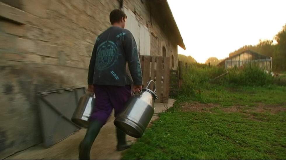 En Picardie, la prison à la ferme plutôt que la prison ferme