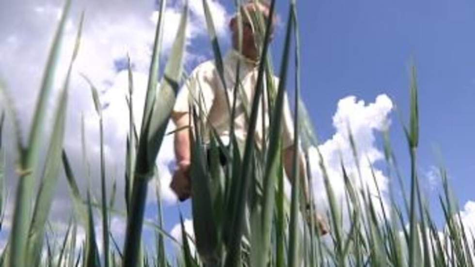 Agriculture : Les 007 du renseignement agricole Agriculture : Les 007 du renseignement agricole