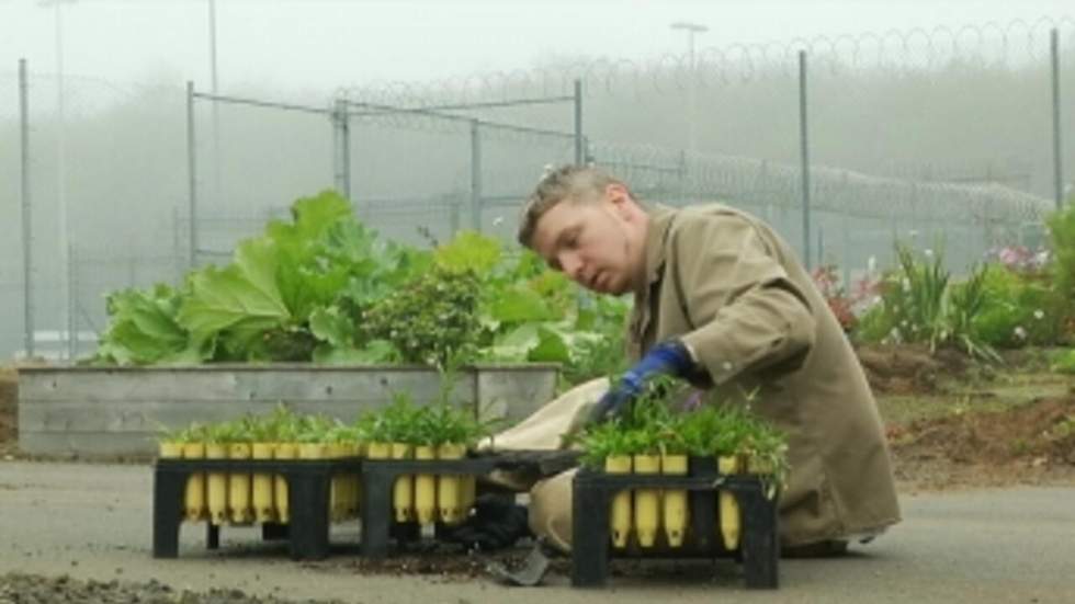 Les détenus sont au jardin Les détenus sont au jardin