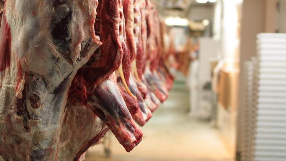 Un abattoir clandestin démantelé près de Paris