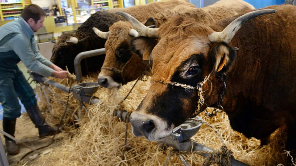 Le salon de l’agriculture s'ouvre sur fond de tensions avec le monde agricole