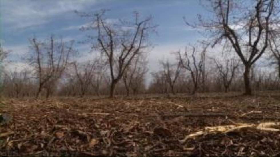 La Californie connaît la pire sècheresse depuis 500 ans