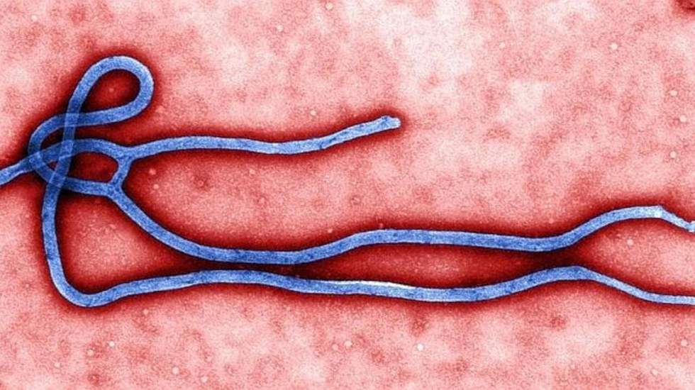 La propagation d’Ebola en Afrique de l’Ouest inquiète l’OMS La propagation d’Ebola en Afrique de l’Ouest inquiète l’OMS