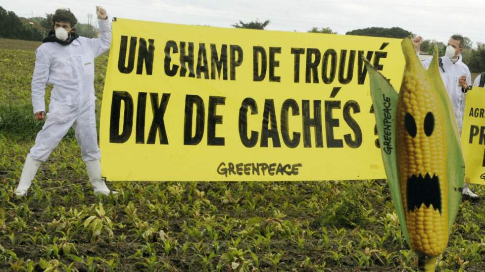 France : le Parlement interdit définitivement la culture du maïs transgénique France : le Parlement interdit définitivement la culture du maïs transgénique