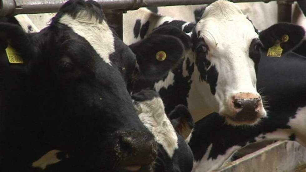 Agriculture : l'Allemagne sème la France!