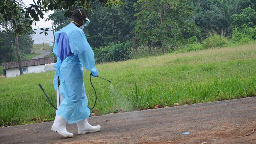 Ebola : l’OMS débloque 100 millions de dollars