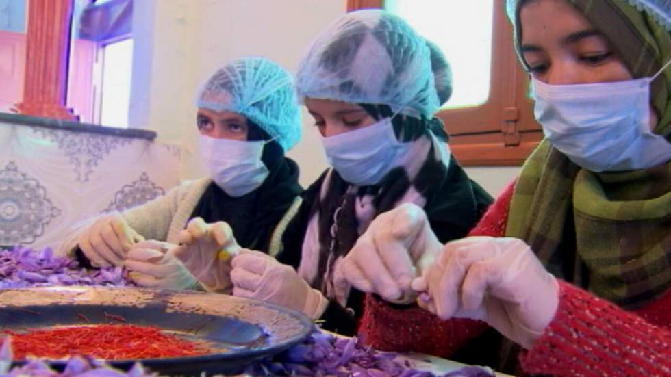 Vidéo : Le safran de Taliouine, l'or rouge du Maroc Vidéo : Le safran de Taliouine, l'or rouge du Maroc