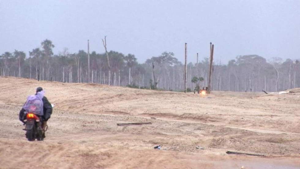 Pérou : quand la forêt recule