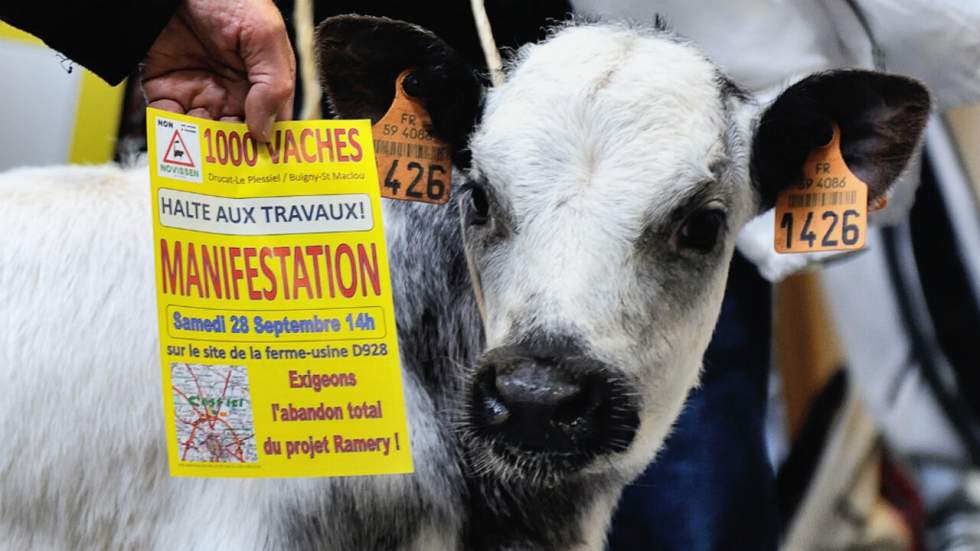 "Fermes-usines" : "Ce ne sera plus la France de la gastronomie"