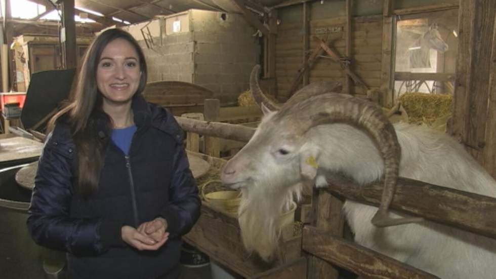 Quand agriculture rime avec futur