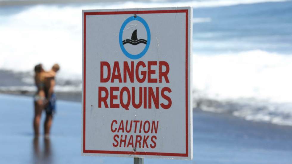 Attaque de requin : un adolescent tué à La Réunion Attaque de requin : un adolescent tué à La Réunion