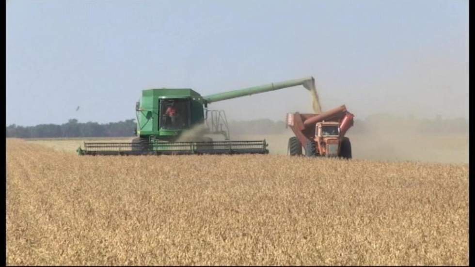 Argentine : OGM et pesticide, un tandem toxique ? Argentine : OGM et pesticide, un tandem toxique ?