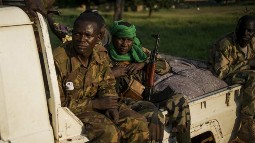 La guerre en Centrafrique a-t-elle été financée par le commerce du bois ?