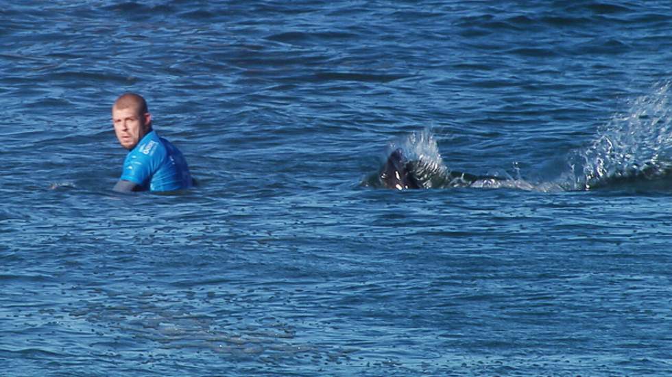 Vidéo : le surfeur Mick Fanning attaqué par un requin en Afrique du Sud Vidéo : le surfeur Mick Fanning attaqué par un requin en Afrique du Sud