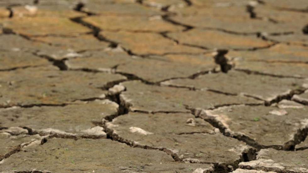 Cette année, El Niño pourrait battre tous les records