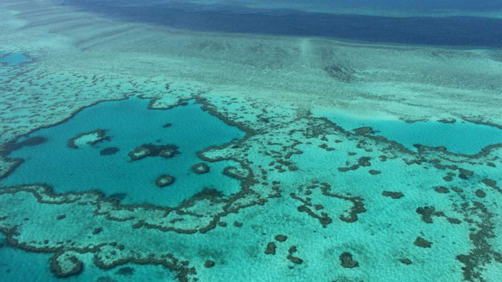 Canberra dit "oui" à un projet de mine de charbon, la Grande Barrière de corail en danger selon les écologistes