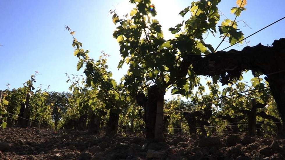 Château Margaux : les maîtres du vin Château Margaux : les maîtres du vin